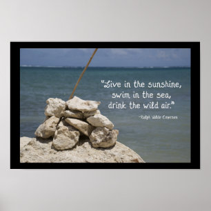Sten om tropisk strand poster
