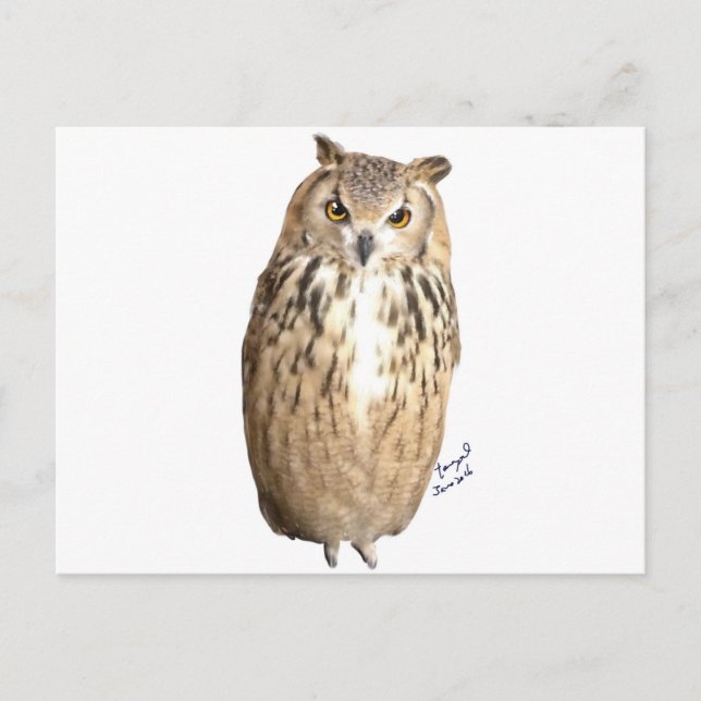 Sten örn uggla vykort (Framsida)