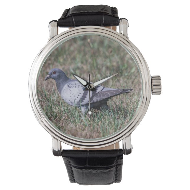 Sten Pigeon Armbandsur (Framsida)