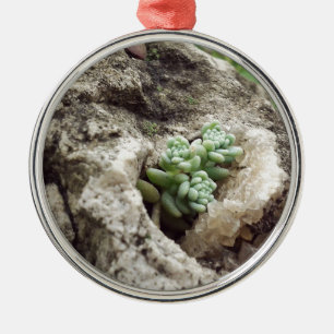 Sten planterade och klarade sig bra. :) #succulent julgransprydnad metall