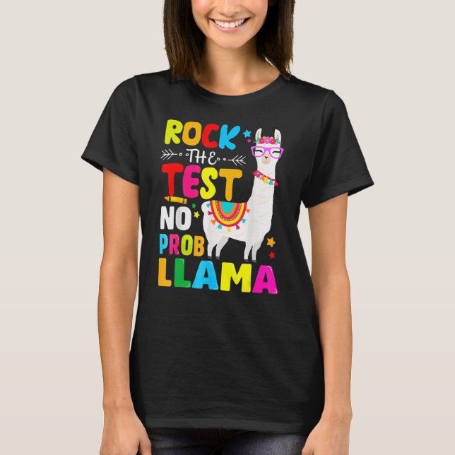 Sten: Provlärarens testdag, nr. T Shirt (Framsida)