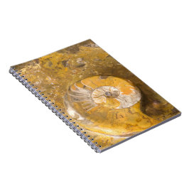 Sten som innehåller många fossil & Ammonitefotoet Anteckningsbok Med Spiral