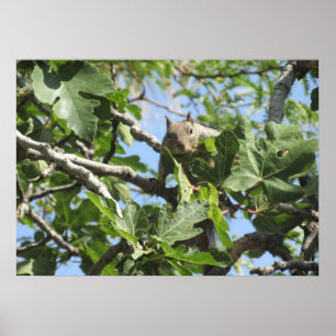 Sten Squirrel Poster