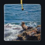 Sten vid La Jolla Beach i San Diego<br><div class="desc">Sälar och havs-lejon som vilar på Seal Sten i Stilla havet vid La Jolla,  San Diego Kalifornien på en vacker,  solig sommardag</div>