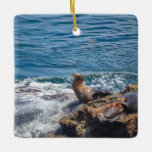 Sten vid La Jolla Beach i San Diego Julgransprydnad Keramik<br><div class="desc">Sälar och havs-lejon som vilar på Seal Sten i Stilla havet vid La Jolla,  San Diego Kalifornien på en vacker,  solig sommardag</div>