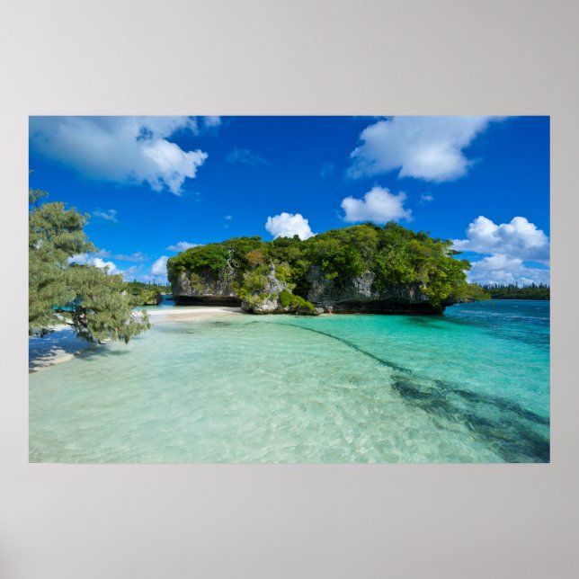 Sten vid stranden poster (Framsidan)