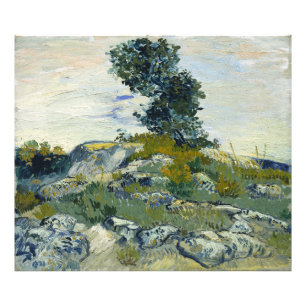 Sten Vincent van Gogh Fototryck