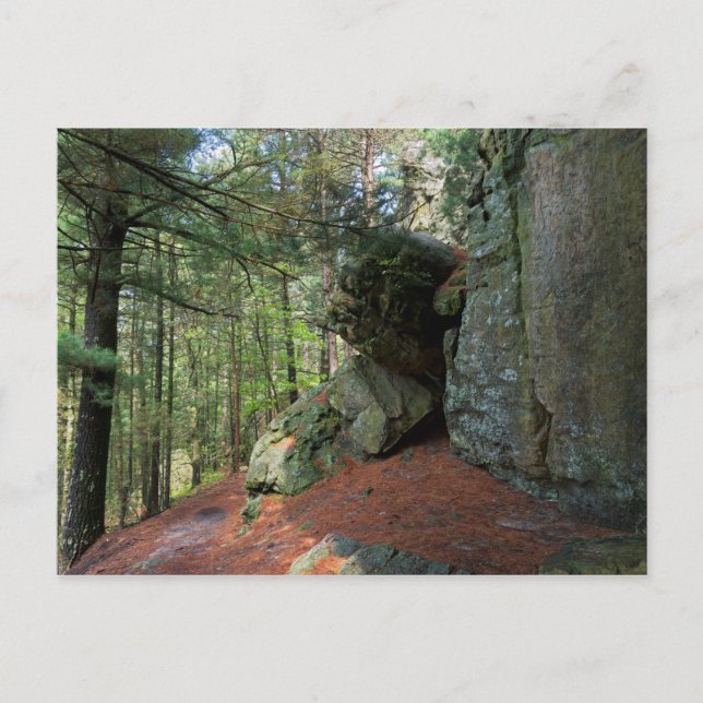 Sten Wall och Skogen vid Castle Mound Vykort (Framsida)