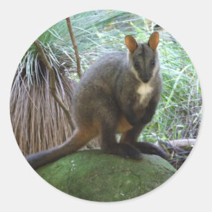 Sten Wallaby Sticker Runt Klistermärke