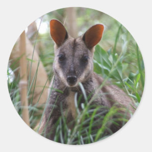 Sten Wallaby Stickers Runt Klistermärke