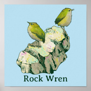 Sten Wren-fåglar Nya Zeeland Poster