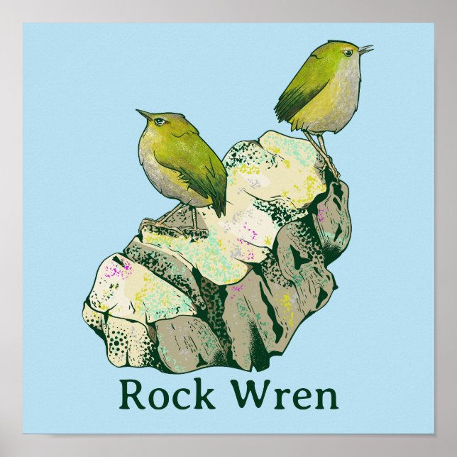 Sten Wren-fåglar Nya Zeeland Poster (Framsidan)