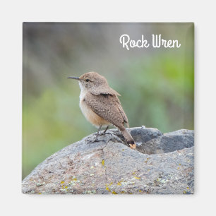 Sten Wren Magnet