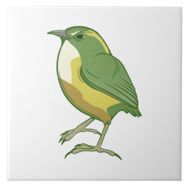 Sten Wren Nya Zeeland Bird Kakelplatta (Framsidan)