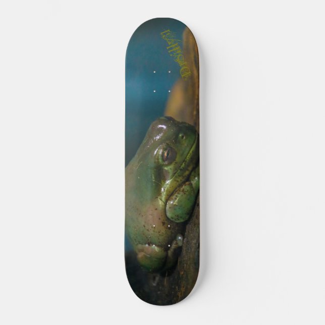 Stenad Padda Mini Skateboard Bräda 18,5 Cm (Framsida)