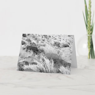 Stenar för BasaltLava i öknen, svartvitt foto Kort