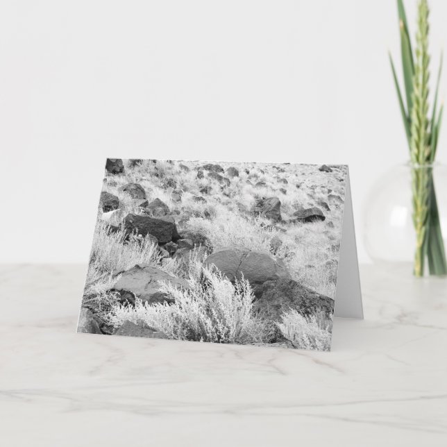 Stenar för BasaltLava i öknen, svartvitt foto Kort (Framsida)