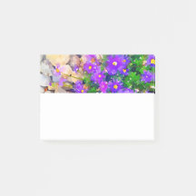 Stenar med blommavattenfärgfotoet noterar