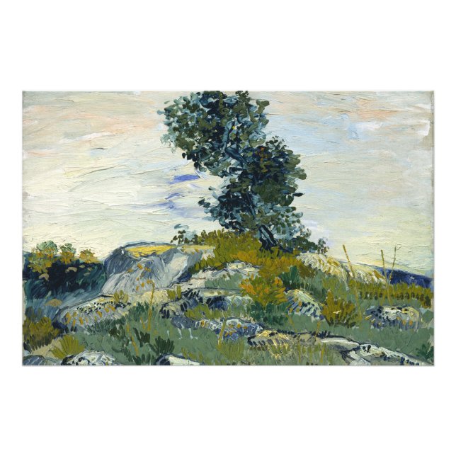 Stenar med ek, Van Gogh Oljemålning Fototryck (Framsidan)
