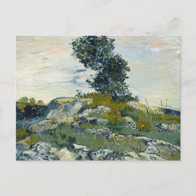 Stenar med ek, Van Gogh Oljemålning Vykort (Framsida)