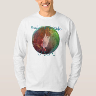 STENBLOCK Colorado skjortor Tee Shirt