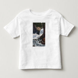 Stenblocknedgångar i stenblockkanjonen, Colorado T Shirt