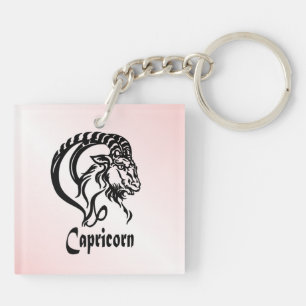 Stenbocken Havsgeten Zodiak