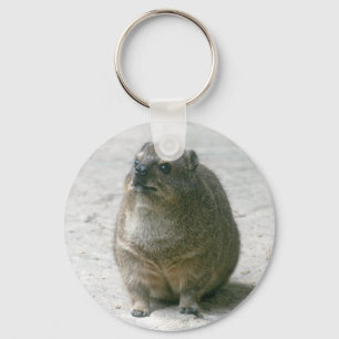 StenHyrax Nyckelring