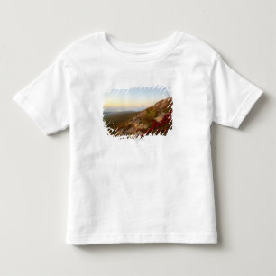 Stenig back, röda blommor, Acadianationalpark T Shirt