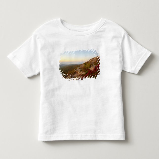 Stenig back, röda blommor, Acadianationalpark T Shirt (Framsida)