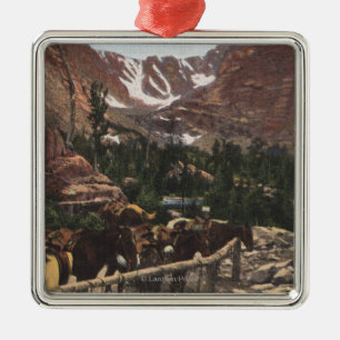 Stenig bergnationalpark, CO Julgransprydnad Metall
