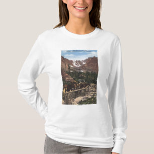 Stenig bergnationalpark, CO T-shirt