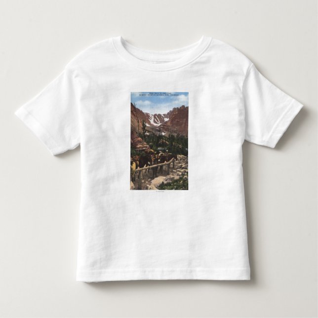 Stenig bergnationalpark, CO Tee Shirt (Framsida)