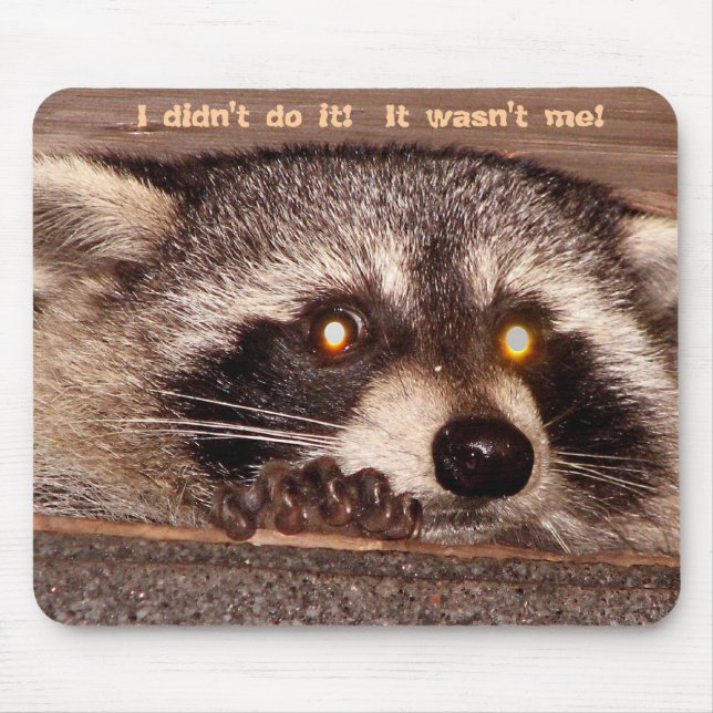 Stenig gjorde jag inte det!  Det var inte mig! Musmatta (Framsidan)
