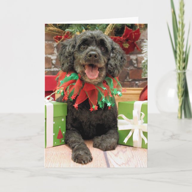 Stenig jul - Cockapoo - Helgkort (Framsida)