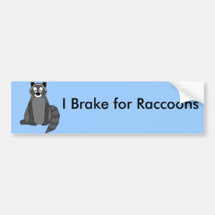 Stenig Raccoon Bildekal