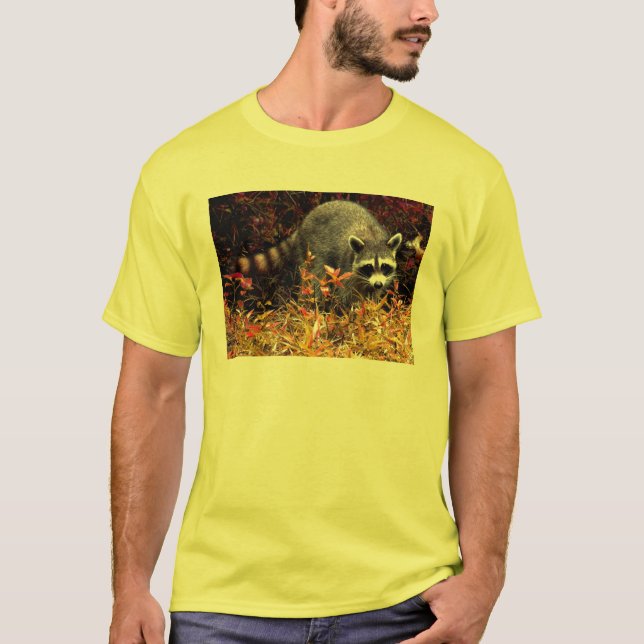 STENIG RACCOON T-SHIRT (Framsida)