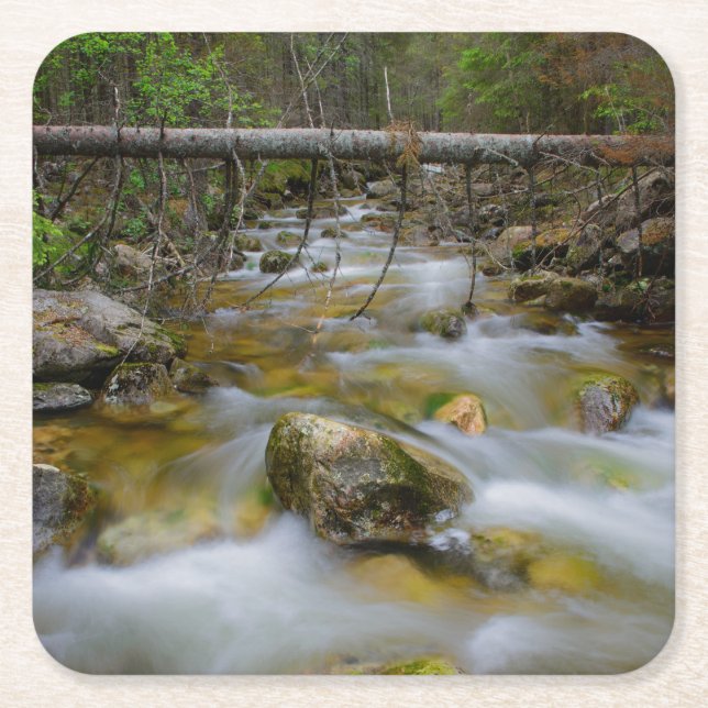 Stenig skogbäckkustfartyg underlägg papper kvadrat (Framsidan)