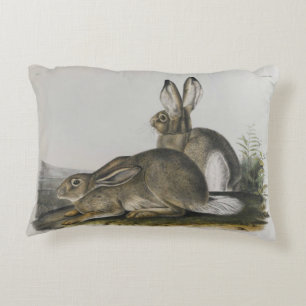 "Steniga bergHare" vid John James Audubon Prydnadskudde