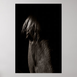 Stenigt Poster