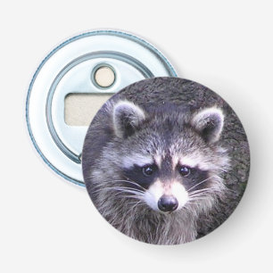 Stenigt raccoonen flasköppnare