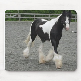 Stenigt spring musmatta