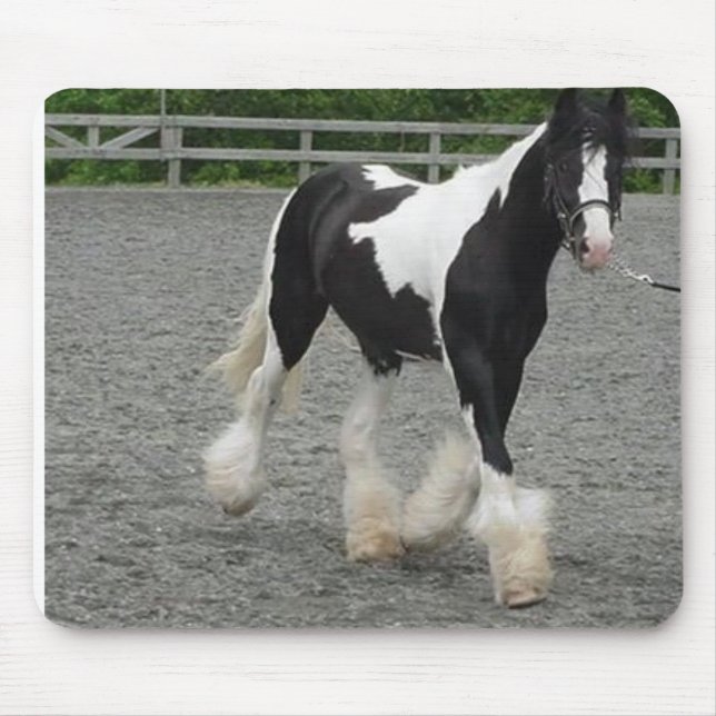 Stenigt spring musmatta (Framsidan)