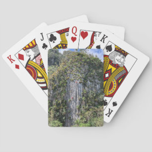 Stenklättring Casinokort