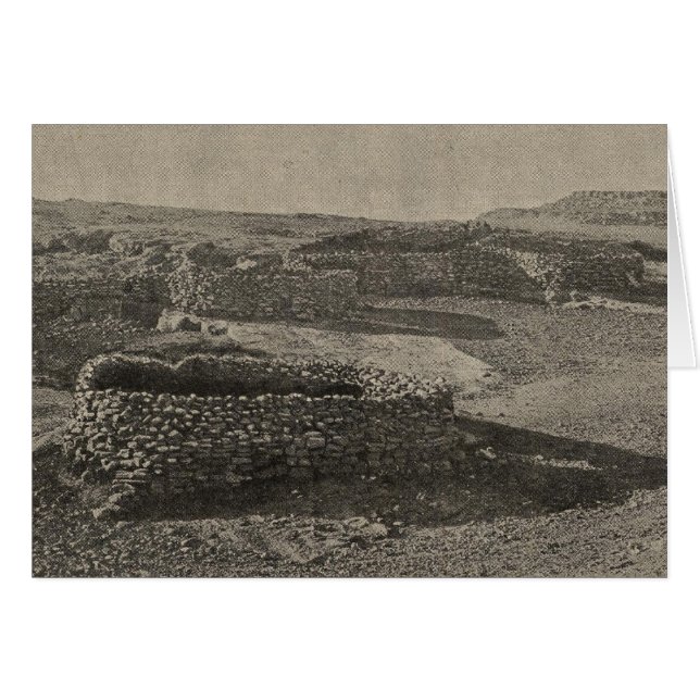 Stenkoraller Hälsningskort (Framsidan Horizontal)