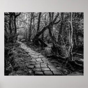 Stenlade Along flodstranden Poster