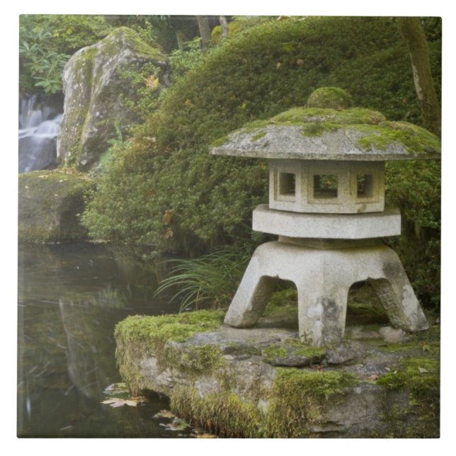 Stenlternor och Himmelskare mönster Kakelplatta (Framsidan)