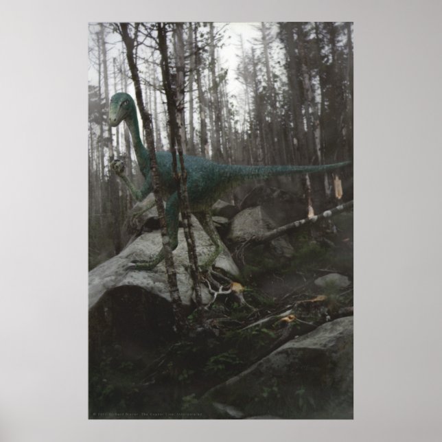 Stenonychosaurus Poster (Framsidan)