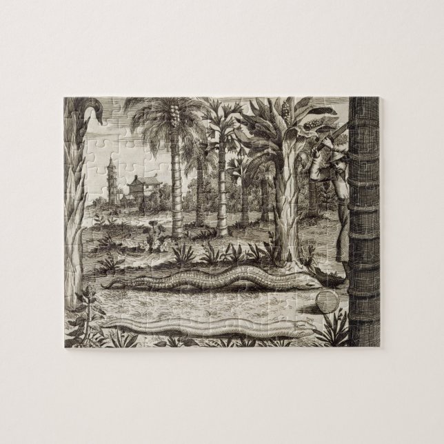 Stenormen, från "chinan som illustreras" av Athan Pussel (Horisontell)