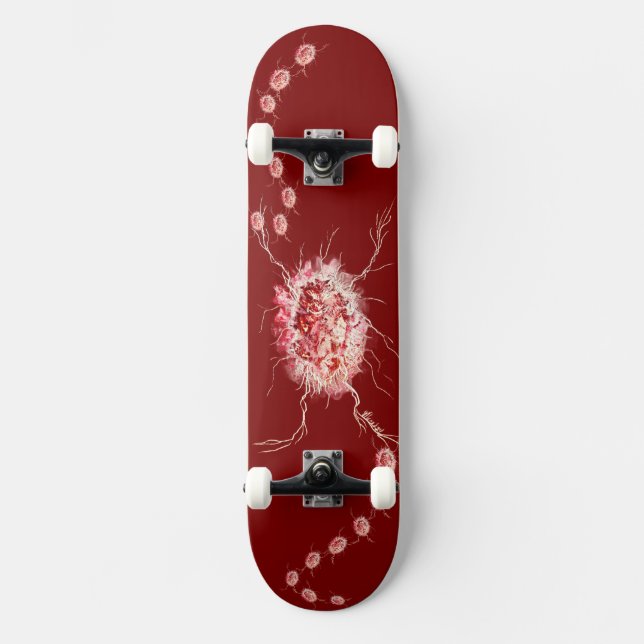 Stenpoleraren Mini Skateboard Bräda 18,5 Cm (Framsida)